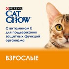 Влажный корм CAT CHOW для кошек, говядина/баклажан в желе, 85 г - Фото 3
