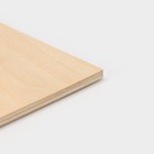 Доска разделочная деревянная Доляна, 23×16×0,6 см - фото 4241366