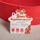 Форма силиконовая для выпечки Доляна «Круг», 20×6 см, цвет МИКС - Фото 5