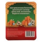 Ложка-загребушка двухцветная "Денежная лягушка" - Фото 4