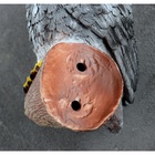 Садовая фигура из полистоуна «Сова на ветке», подвесная, 10×14×21 см, МИКС - Фото 5