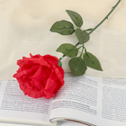 Цветы искусственные "Роза французская" 8*40 см красная - фото 321260138