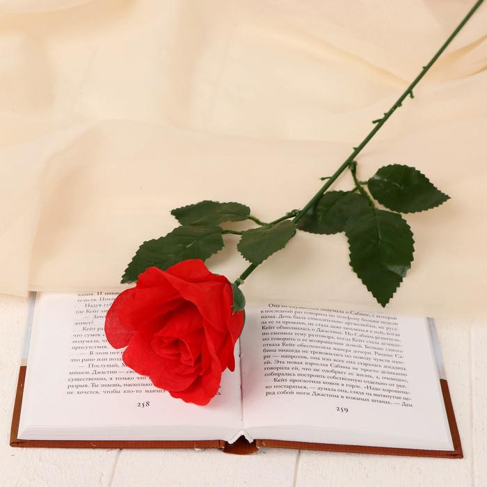 Цветы искусственные "Роза французская" 7*40 см красная - Фото 1