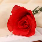 Цветы искусственные "Роза французская" 7*40 см красная - Фото 2