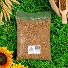 Семена Пшеница "Поспелов", 1 кг - фото 11880403