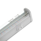 Фитосветильник светодиодный Uniel, 18 Вт, 560 мм, IP40, 230 В, спектр для рассады, с выкл. - фото 8382197
