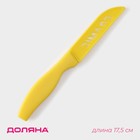 Нож кухонный керамический Доляна «Керамик», лезвие 7,5 см, цвет МИКС - фото 4241524