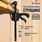 Струбцина быстрозажимная ТУНДРА, F-образная, 250 х 60 х 425 мм - Фото 1