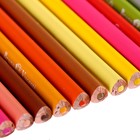 Карандаши 36 цветов BrunoVisconti HAPPYCOLOR, микс из 6 видов - Фото 7