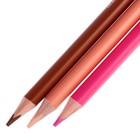 Карандаши 36 цветов BrunoVisconti HAPPYCOLOR, микс из 6 видов - Фото 8