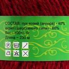 Пряжа "Нежность" 60% акрил, 40% козий пух 230м/100гр (Вишня) - фото 20811982