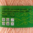 Пряжа "Нежность" 60% акрил, 40% козий пух 230м/100гр (Персик) (комплект 5 шт) - фото 20812030