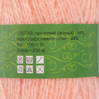 Пряжа "Нежность" 60% акрил, 40% козий пух 230м/100гр (Персик) (комплект 5 шт) - фото 20812032