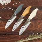 Нож для овощей кухонный «Грёзы», лезвие 9,3 см, чехол, цвет МИКС - Фото 6