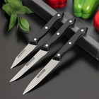 Набор кухонных ножей Доляна «Кулинарные изыски», 3 шт, лезвие 8 см, 11 см, 11 см, цвет чёрный - фото 318071660