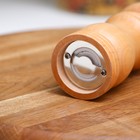 Мельница для специй Доляна «Дуновение леса», 12.5×4.5 см, керамический механизм, бежевая - Фото 2