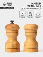 Набор для специй Доляна «Комфорт», 50 мл, 11×10×5 см, 2 предмета: мельница, солонка - Фото 1