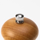 Набор для специй Доляна «Комфорт», 50 мл, 11×10×5 см, 2 предмета: мельница, солонка - Фото 11