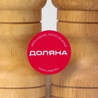 Набор для специй Доляна «Комфорт», 50 мл, 11×10×5 см, 2 предмета: мельница, солонка - Фото 13