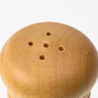 Набор для специй Доляна «Комфорт», 50 мл, 11×10×5 см, 2 предмета: мельница, солонка - Фото 19