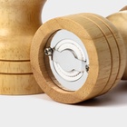 Набор для специй Доляна «Комфорт», 50 мл, 11×10×5 см, 2 предмета: мельница, солонка - Фото 21