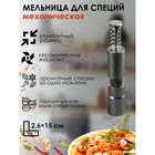Мельница для специй «Пружина», 15×2.5 см, металлический механизм, серая - Фото 1