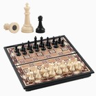 Шахматы, доска 18 х 18 см, клетка 1.7 х 1.7 см - фото 19596865