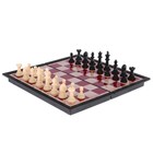 Шахматы "Классические", на магните, 24 х 24 см - Фото 6