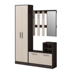 Комод-обувница Энтер 900х343х816 венге/дуб молочный  (артикул 3223142)  большой выбор товаров оптом и в розницу по низким ценам с доставкой