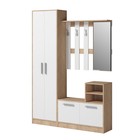 Комод-обувница Энтер 900х343х816  Дуб сонома/белый  (артикул 3223150)  большой выбор товаров оптом и в розницу по низким ценам с доставкой