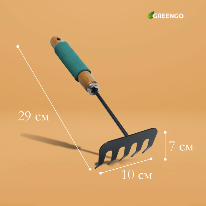 Грабли малые, прямые, 5 зубцов, длина 29 см, металл, деревянная ручка с поролоном, Greengo - фото 1898120684