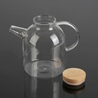 Чайный набор «Эко», 5 предметов: чайник 1,6 л, 4 кружки 100 мл - Фото 4
