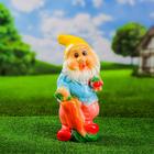 Садовая фигура "Гном с морковкой" 36см - Фото 1