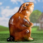 Садовая фигура "Бобер" 21х16х30см - Фото 2