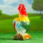 Садовая фигура из гипса «Петух на бревне», 26×12×18 см - Фото 6