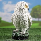 Садовая фигура из гипса «Сова полярная», 24×15×15 см - Фото 14