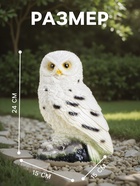 Садовая фигура из гипса «Сова полярная», 24×15×15 см - Фото 2