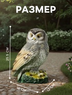 Садовая фигура из гипса «Сова», 25.5×12×16 см - Фото 2