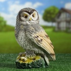 Садовая фигура из гипса «Сова», 25.5×12×16 см - Фото 4