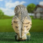 Садовая фигура из гипса «Сова», 25.5×12×16 см - Фото 5