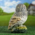 Садовая фигура из гипса «Сова», 25.5×12×16 см - Фото 6