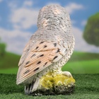 Садовая фигура из гипса «Сова», 25.5×12×16 см - Фото 7