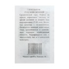 Семена Лук "Русский зимний" батун, б/п, 1 гр. - Фото 2