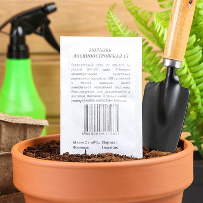 Семена Морковь "Лосиноостровская 13" б/п, 2 гр.