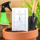 Семена Морковь "Лосиноостровская 13" б/п, 2 гр. - Фото 2