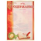 Портфолио выпускника, А4 - фото 9337600