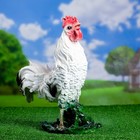Садовая фигура "Петух" белый, 40х30см - Фото 1