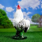 Садовая фигура "Петух" белый, 40х30см - Фото 3