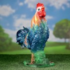 Садовая фигура "Петух пёстрый" темная грудка, 37х30см - Фото 4