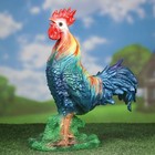 Садовая фигура "Петух пёстрый" темная грудка, 37х30см - Фото 2